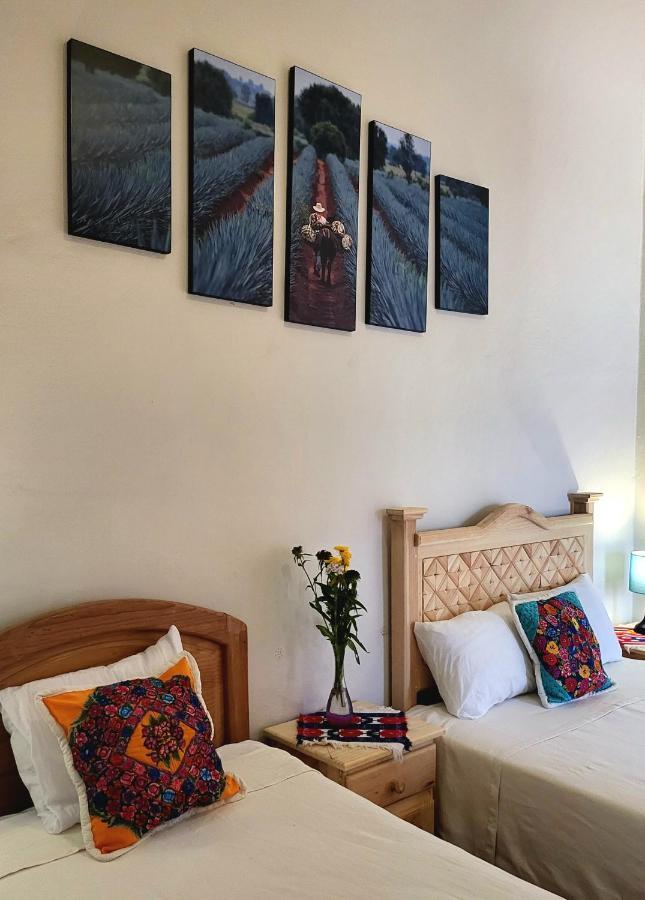 Oaxaca Casa Los Arquitos B&B المظهر الخارجي الصورة